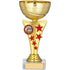 Gold Cup Trophy with Red Stars