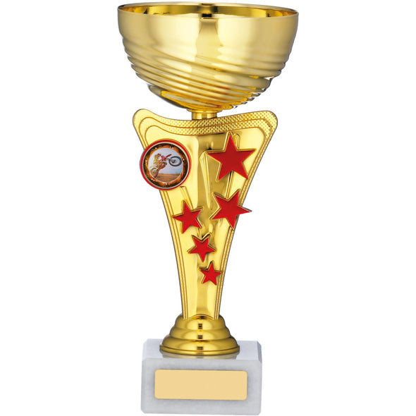 Gold Cup Trophy 21cm