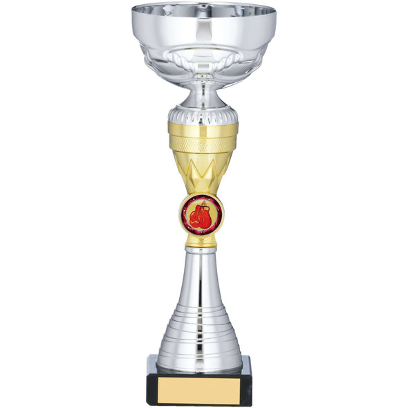 Silver And Gold Trophy 24cm