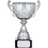 Silver Cup Trophy With Handles