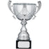 Silver Cup Trophy With Handles
