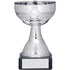 Silver Cup Trophy on Black Marble Base
