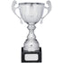 Silver Metal Cup Trophy with Handles on Marble Base