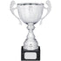 Silver Cup Trophy With Handles 35cm