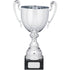 Silver Smooth Metal Cup Trophy with Handles on Marble Base