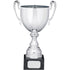 Silver Smooth Metal Cup Trophy with Handles on Marble Base