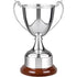 Silver Plated Celtic Trophy Cup