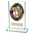 Maverick Legacy Achievement Jade Glass Award