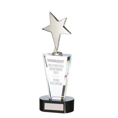 Chicago Crystal & Chrome Award 250mm