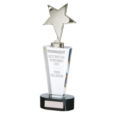 Chicago Crystal & Chrome Award 270mm