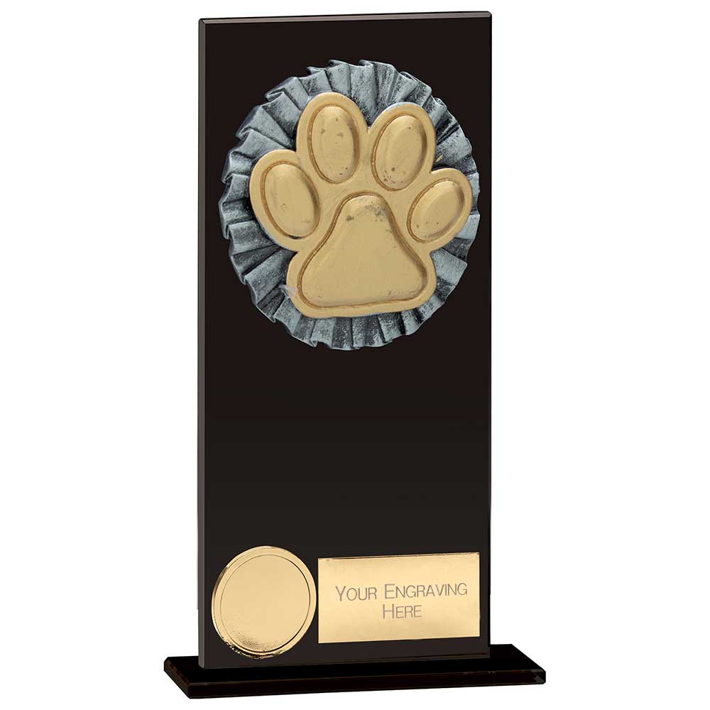 Euphoria Hero Dog Agility Glass Award - Jet Black