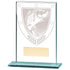 Millennium Fishing Jade Glass Award