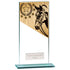 Mustang Equestrian Jade Glass Award