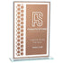 Titanium Mirrored Glass Award Bronze