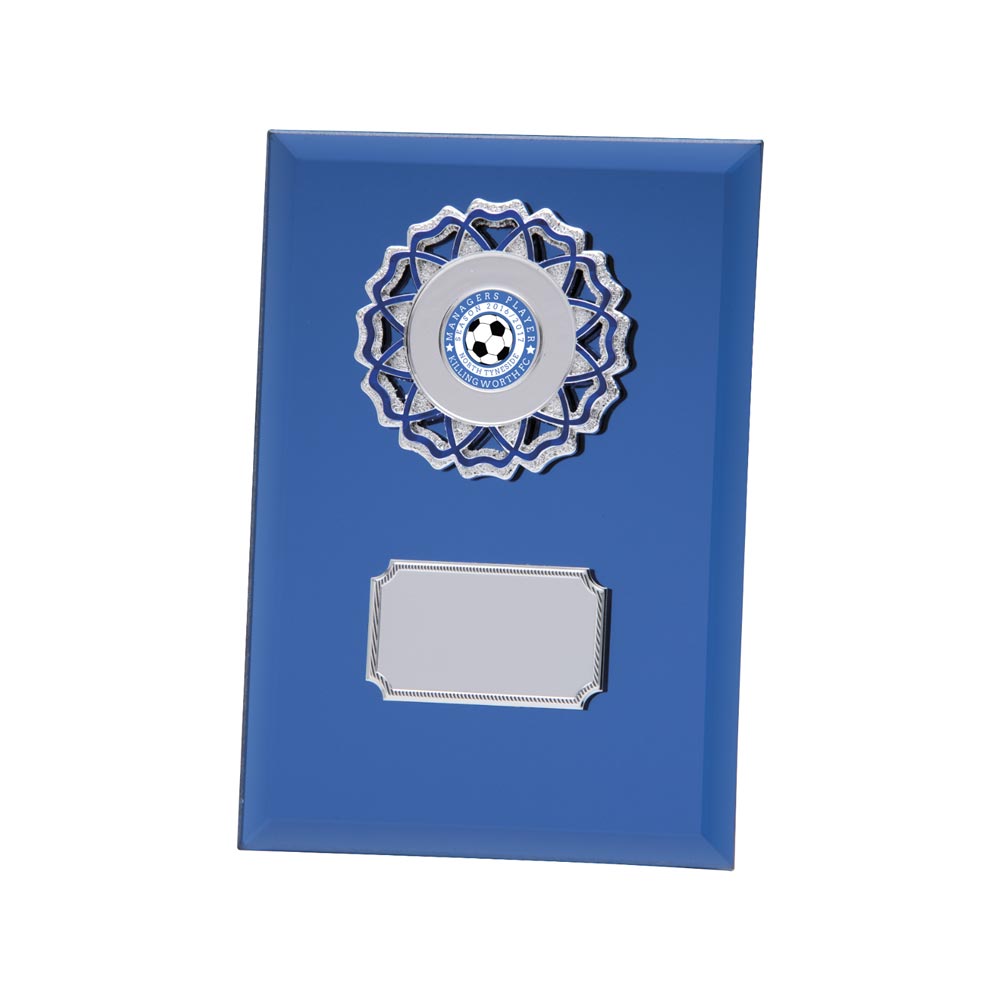 Mirage Multi-Sport Mirror Plaque Blue