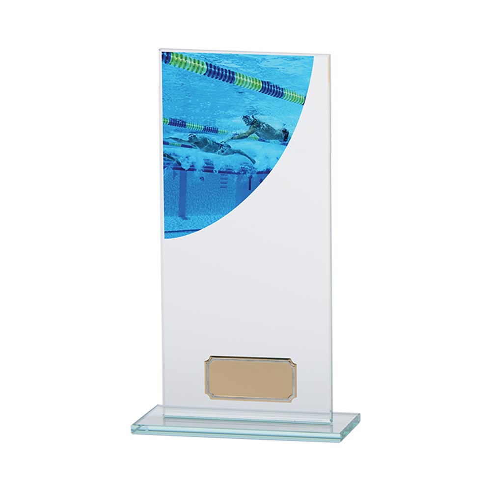 Colour Curve Swimming Jade Glass Award