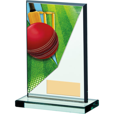 Cricket Acrylic Trophy 13cm