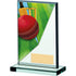Cricket Acrylic Trophy