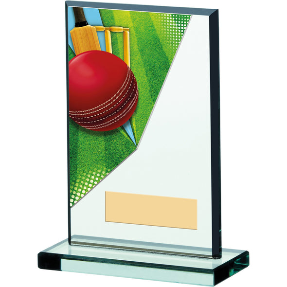 Cricket Acrylic Trophy 15cm