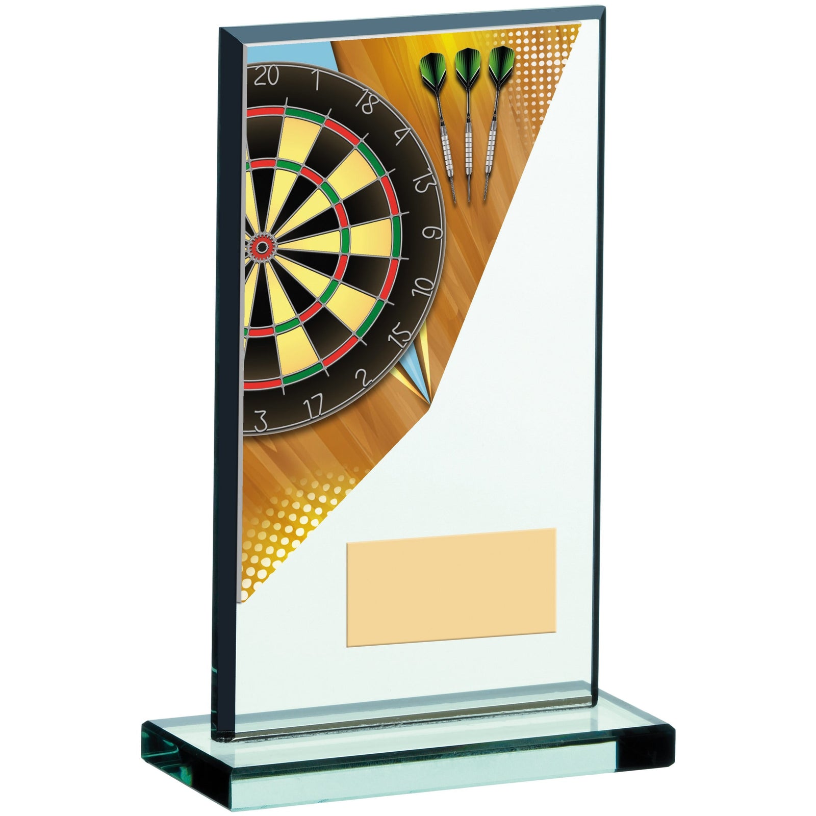 Darts Acrylic Award