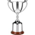 Traditional Endurance Trophy Cup on Tall Rosewood Base