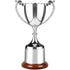 Traditional Endurance Trophy Cup on Tall Rosewood Base
