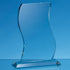 Jade Glass Wave Award