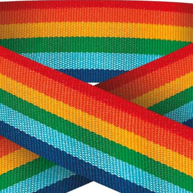 Rainbow 22mm Wide Ribbon And Clip