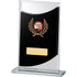 Mirrrored Glass Rectangular Award
