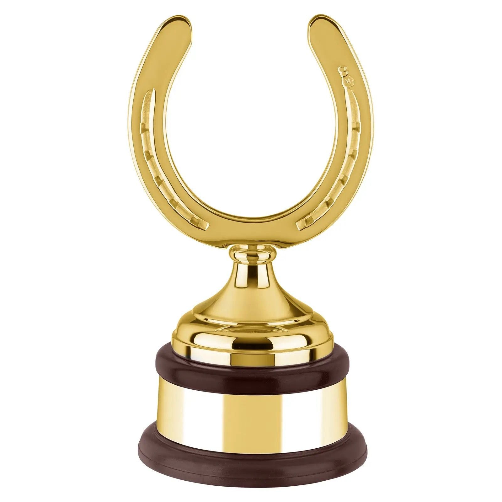Silver Plated 15in Gold Plated Horse Shoe Award