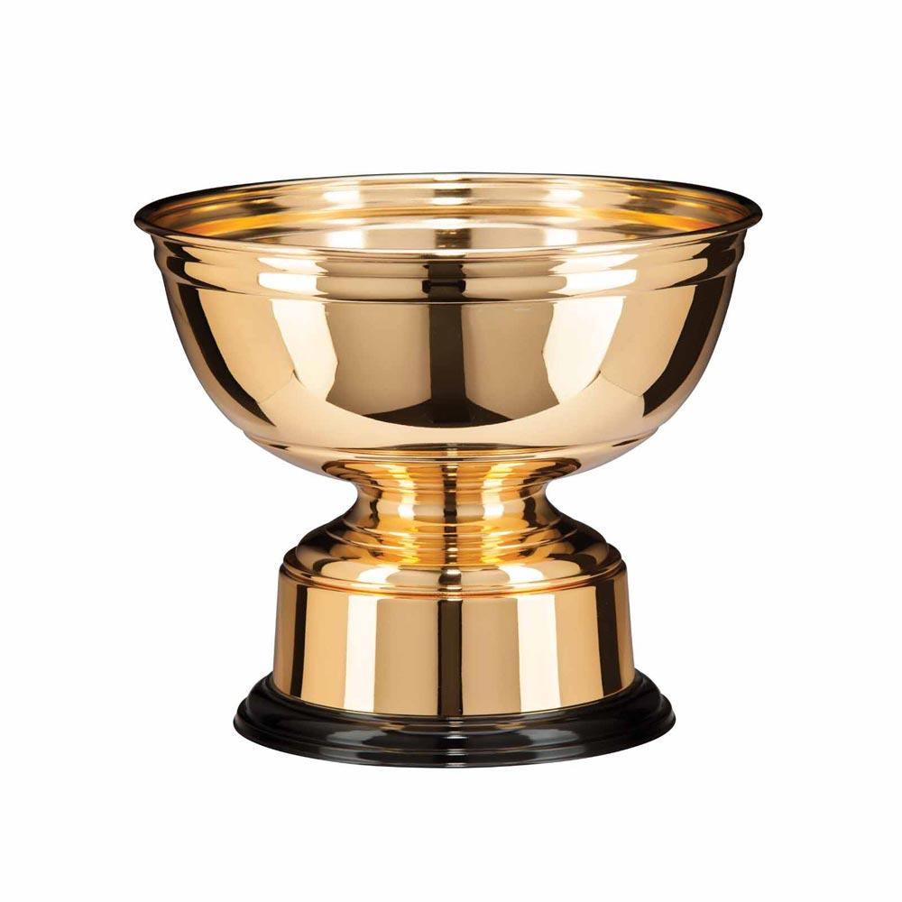 Sienna Gold Plated Bowl Award 210mm (8.25")