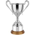 1 Series Revolution Trophy Cup on Gold Base