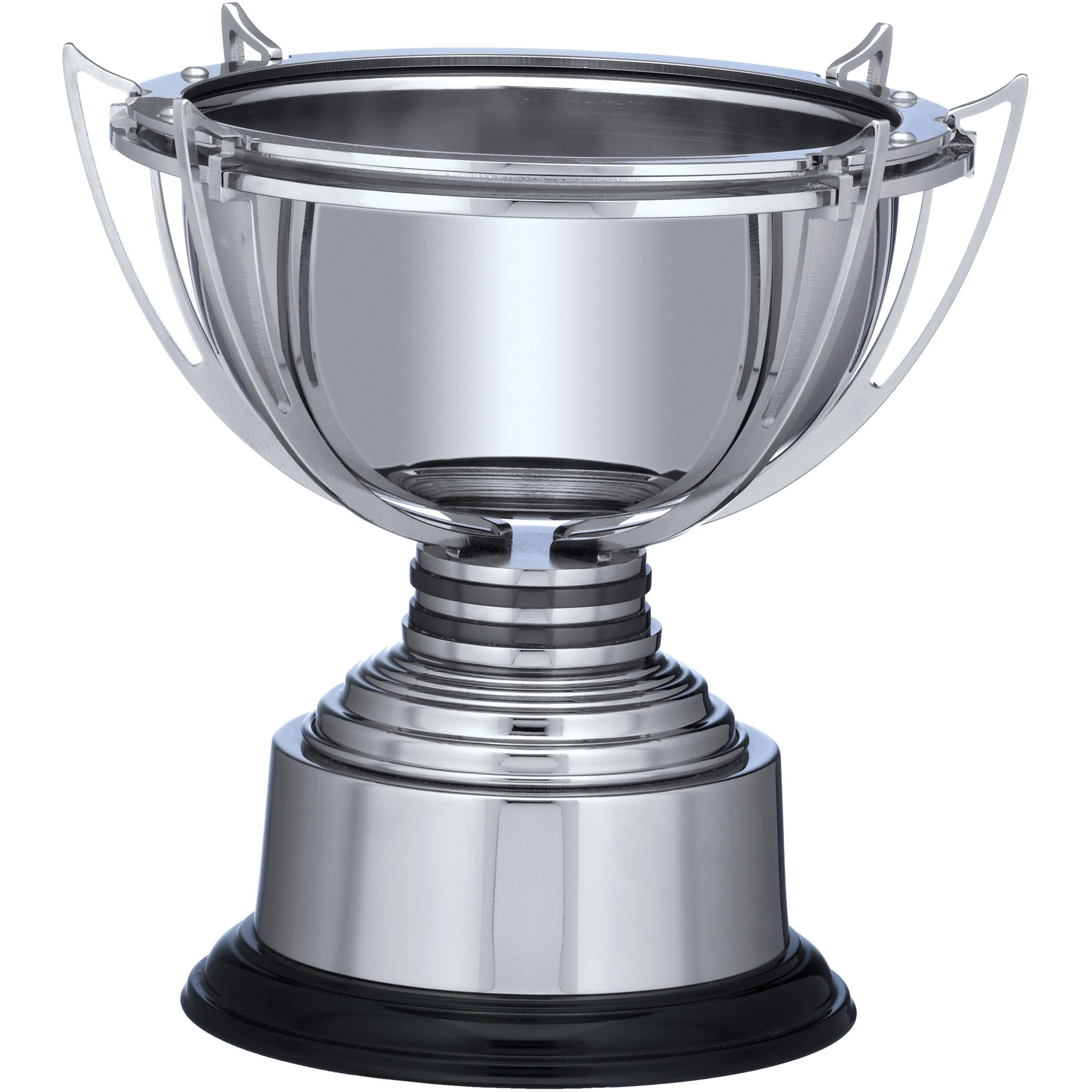 Silver Plated Modern Trophy Cup on Light Wood Base 28cm (11")