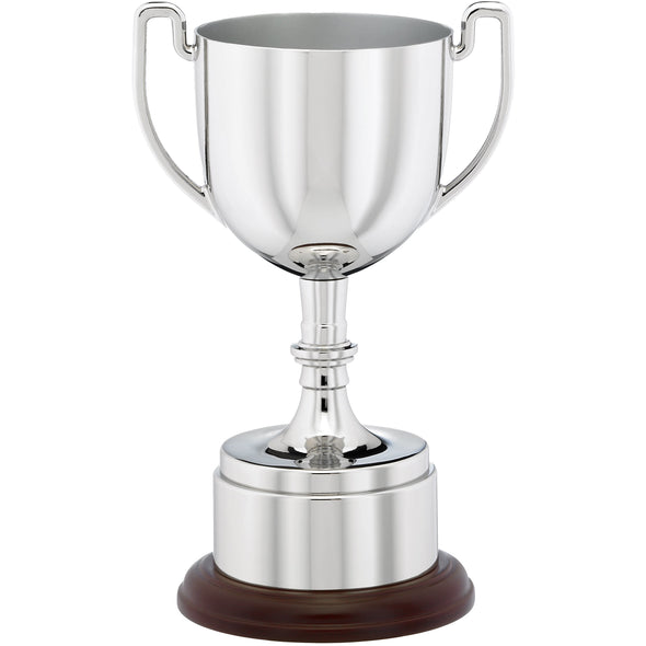 Nickel Plated Die-Cast Trophy Cup 17cm (6.75")