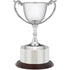 Recognition Silver Nickel Plated Presentation Cup with Wooden Base and Plinth Band 17cm (6.75")