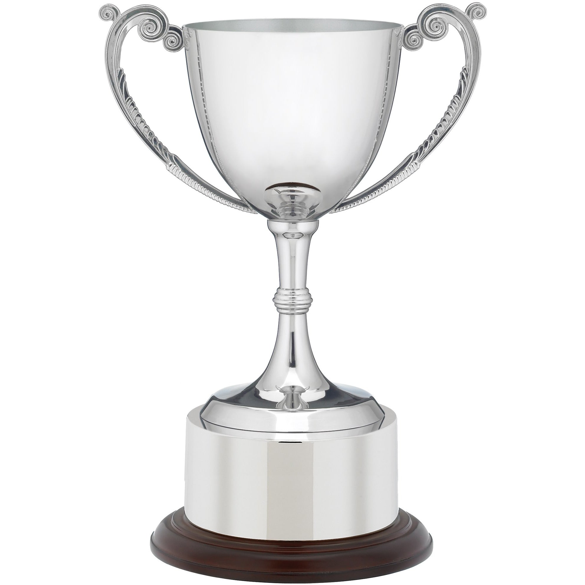 Classic Annual Presentation Cup Trophy with Plinth Band 20.5cm (8")