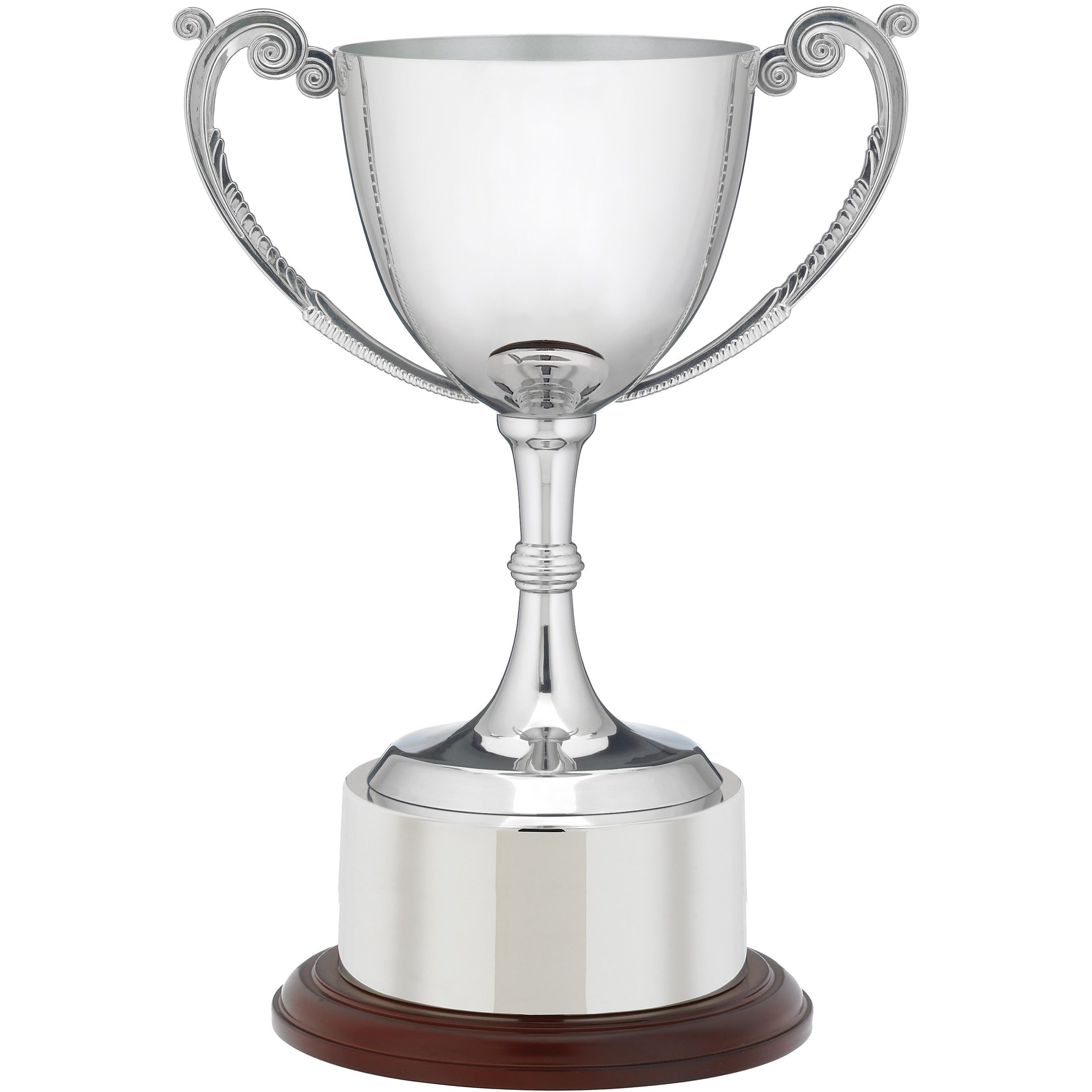 Silver Sports Cup 25.5cm (10")