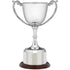 Recognition Silver Nickel Plated Presentation Cup with Wooden Base and Plinth Band 31cm (12.25")