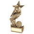 Football And Boot on Shooting Star Trophy