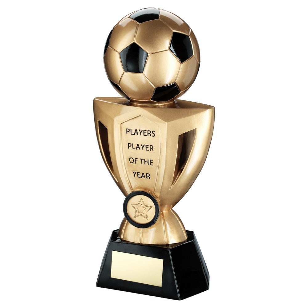 Bronze/Pewter/Gold Football On Cup Award With Plate - Players Player 10in