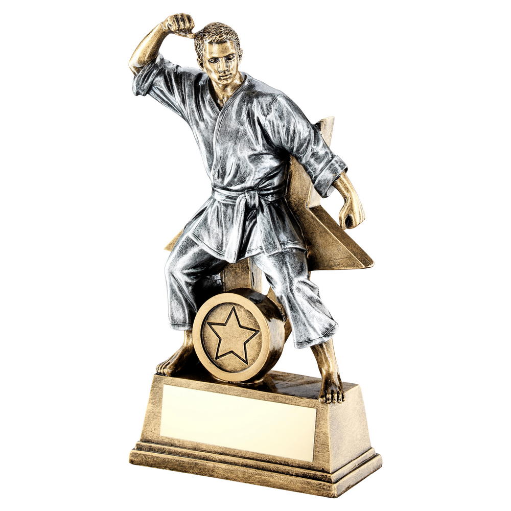 Male Martial Arts Gi Figurine Trophy