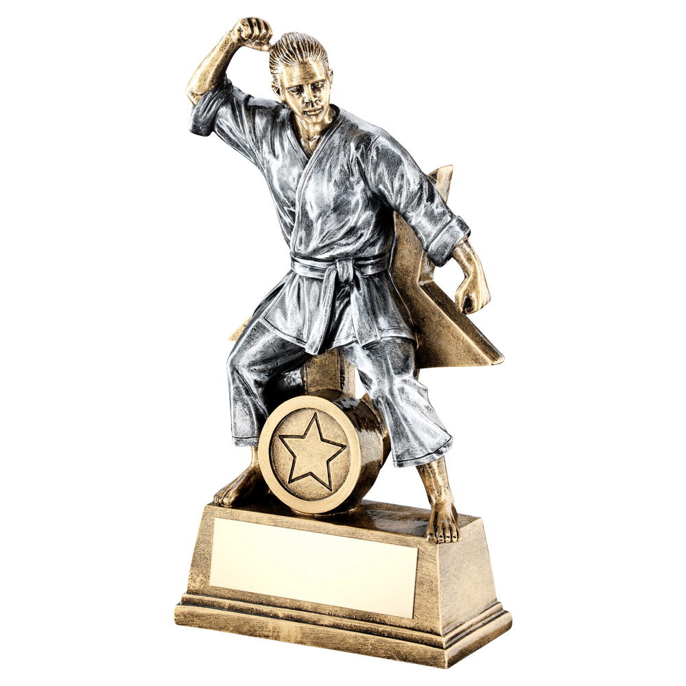 Female Martial Arts Gi Figurine Trophy