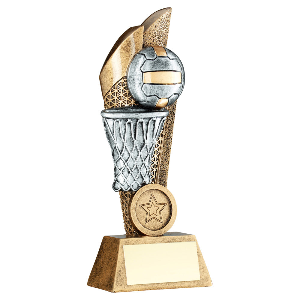 Silver/Gold Netball And Net Trophy