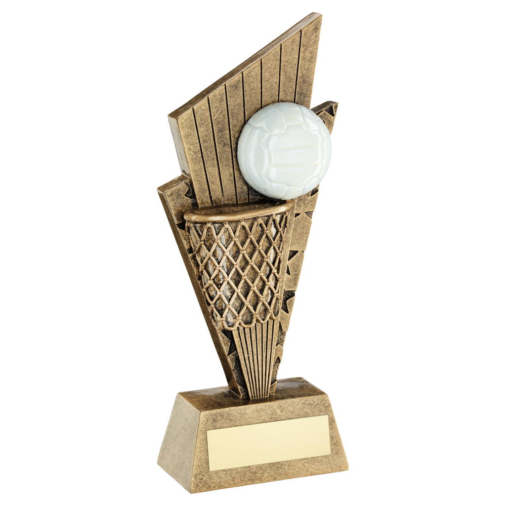 Netball And Net On Pointed Backdrop Trophy