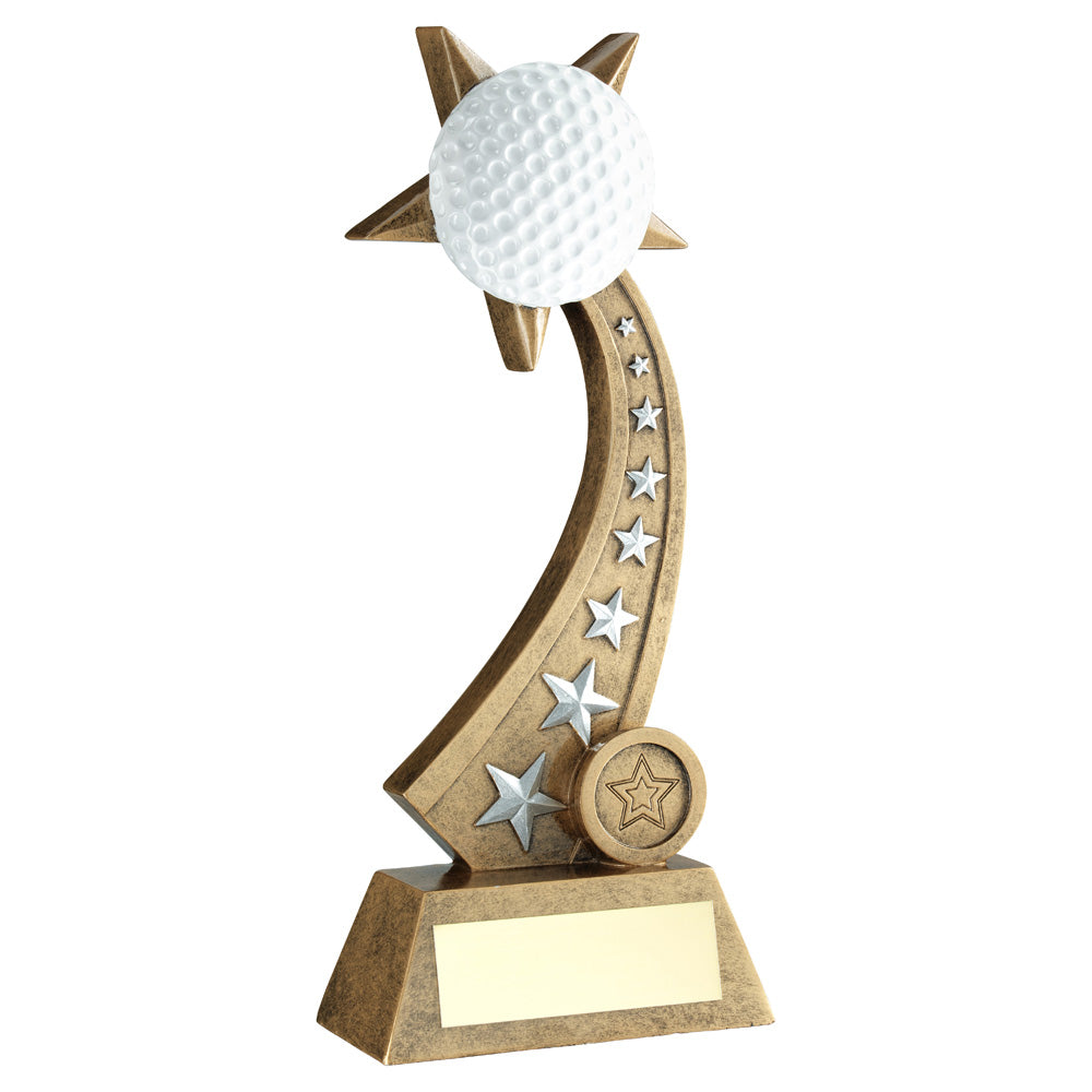 Bronze/Silver/White Golf Ball On Star Trail Award