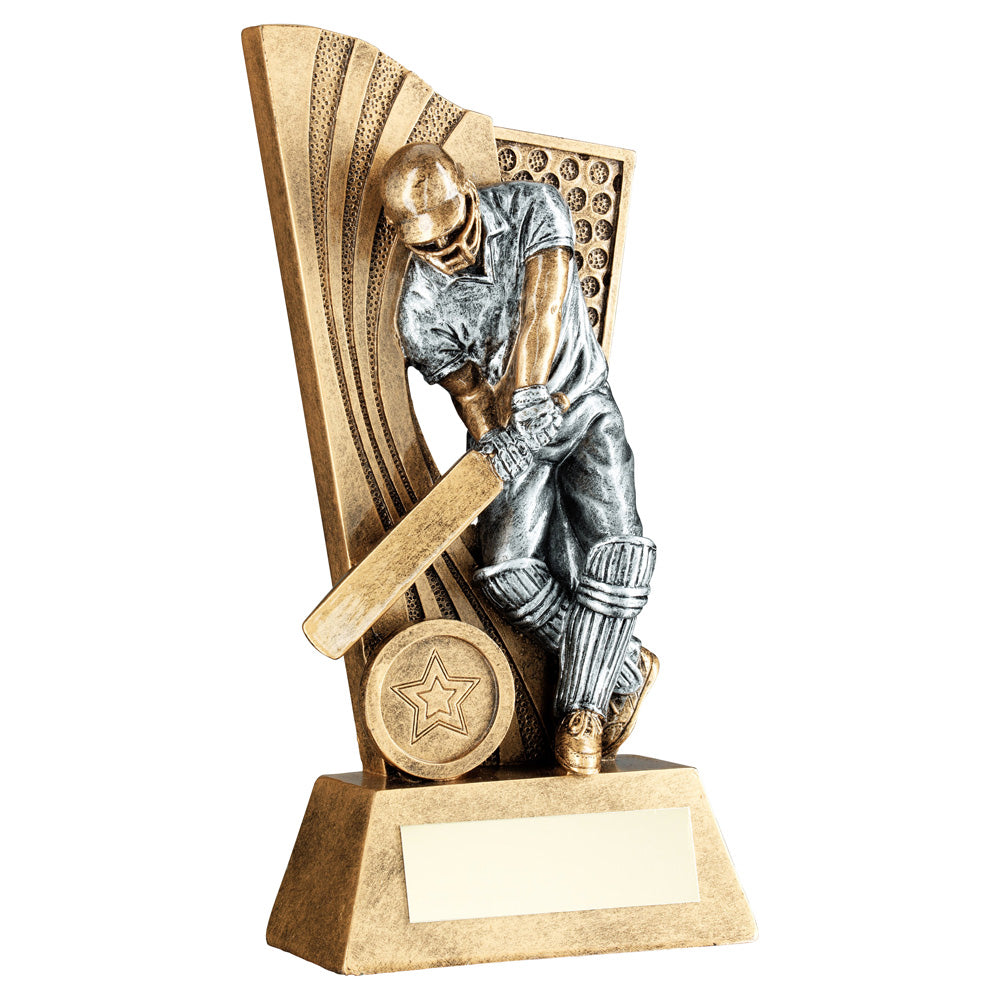 Bronze/Silver Male Cricket Batsman Award On Backdrop