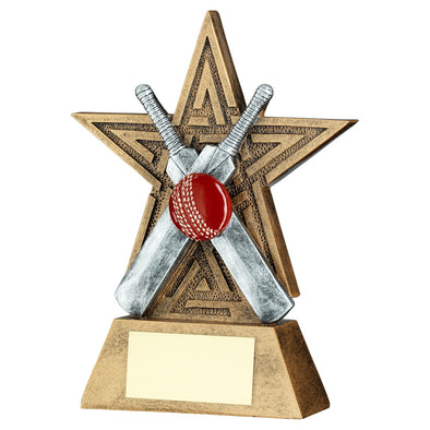 Bronze/Silver/Red Cricket Star Line Series Trophy