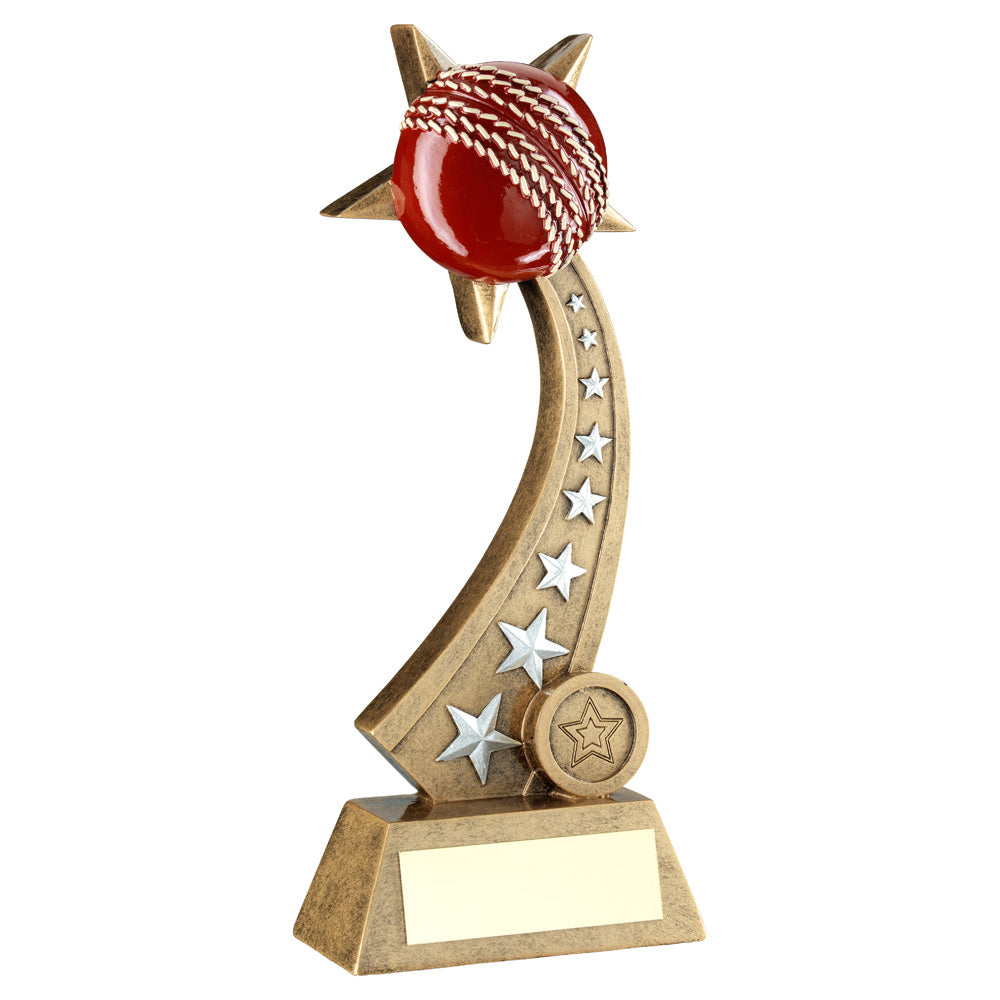 Bronze/Silver/Red Cricket Ball On Star Trail Award