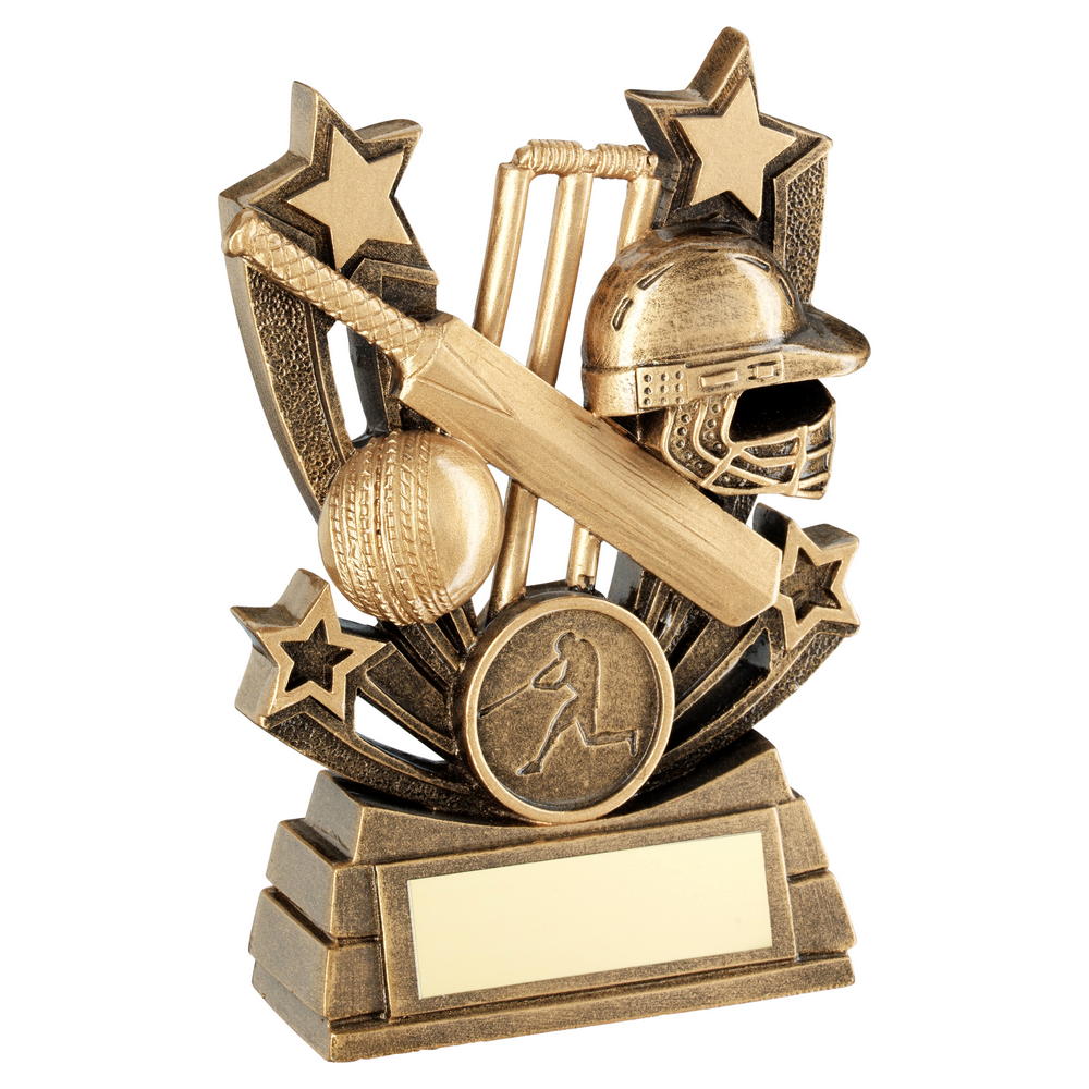 Cricket Star Series Award