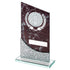 Cricket Glass Plaque Award with Marble Print